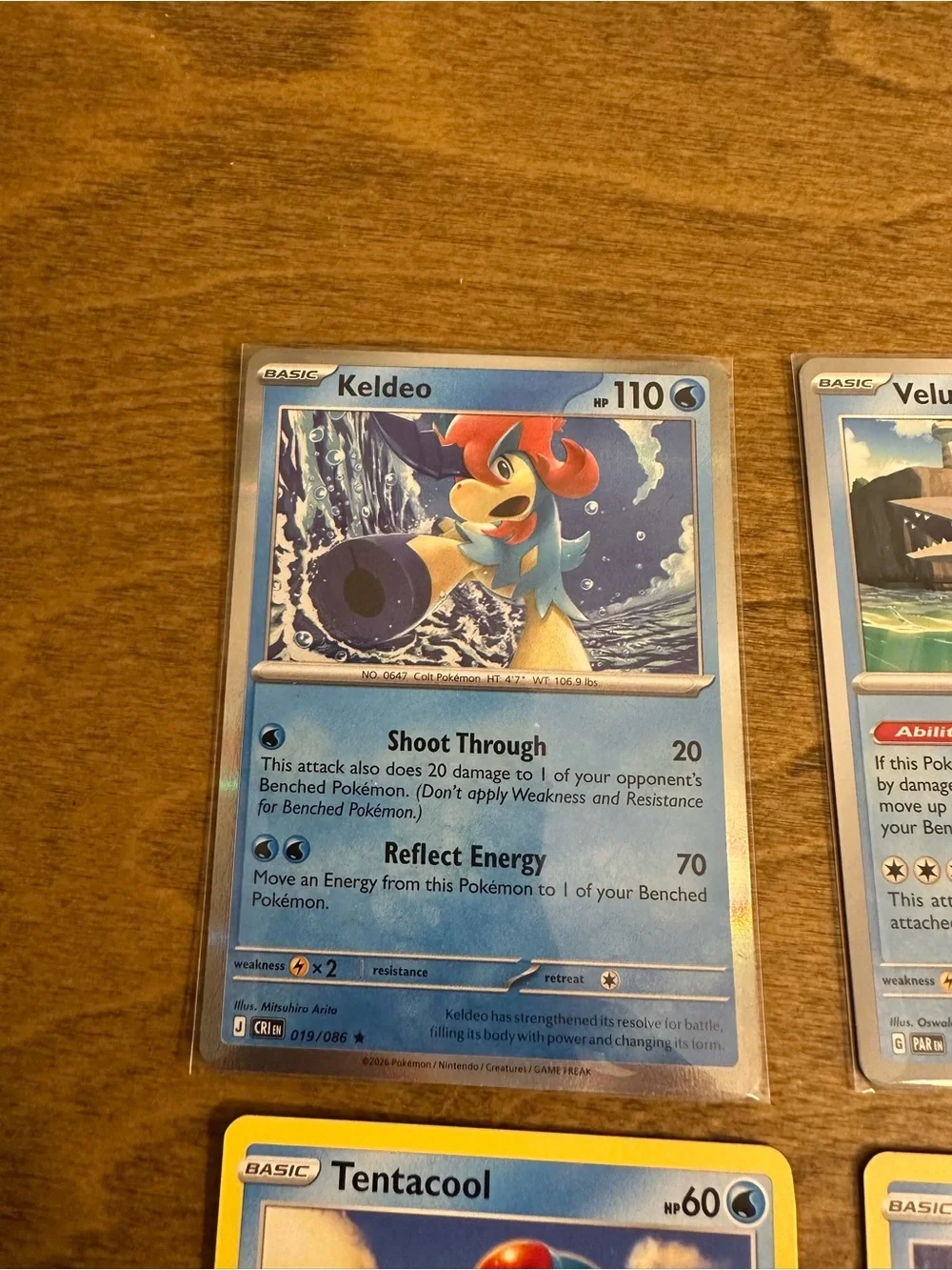 Lot of 6 Water Type Pokemon Cards